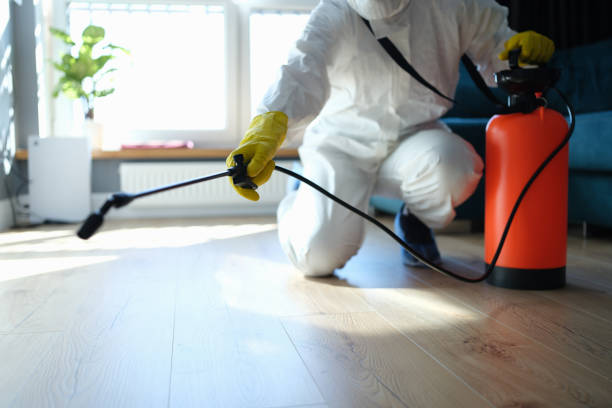 Reliable Sewage Cleanup contractor in Merchantville, NJ by Trauma Clean Pros